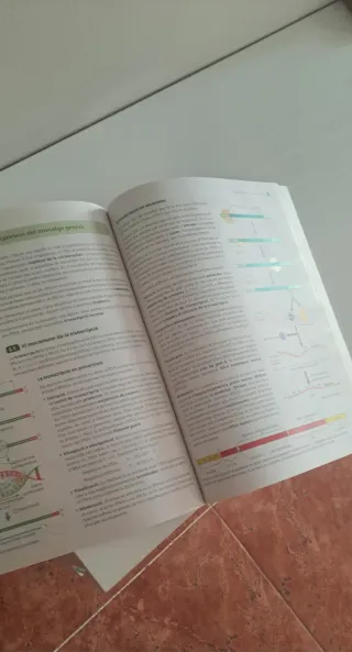 Biologia Serie Observa 1 Btx Saber Fer - 978849...