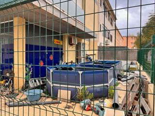 Local comercial en venta en Ciutat d'Alcúdia en Alcúdia