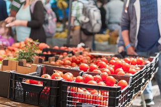 Local comercial en venta en Ciutat d'Alcúdia en Alcúdia