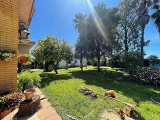 Terreno en venta en Sanlúcar la Mayor