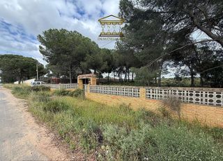 Terreno en venta en Bonares