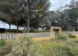 Terreno en venta en Bonares