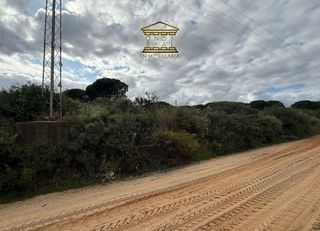 Terreno en venta en Bonares