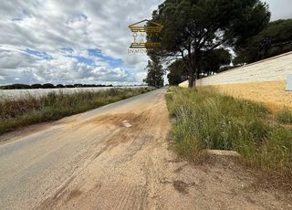 Terreno en venta en Bonares
