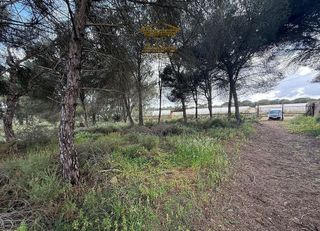 Terreno en venta en Bonares