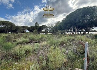 Terreno en venta en Bonares