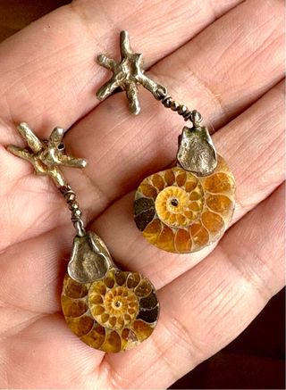 Ammonites Opalizado Fósil calidad Gema elegir