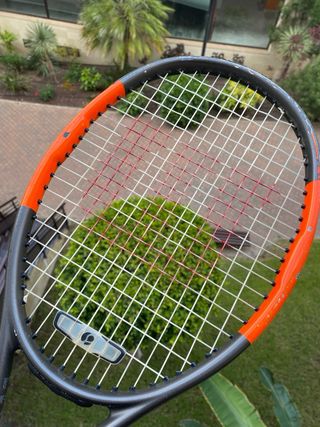 Raqueta Tenis Wilson