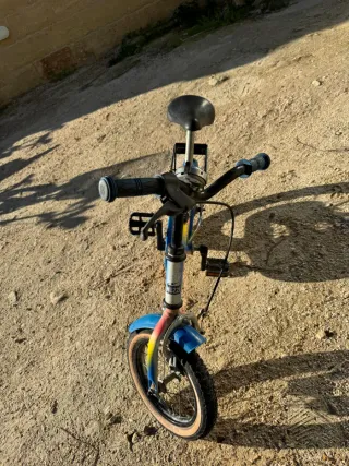 Bicicletta Nuzzi Olga