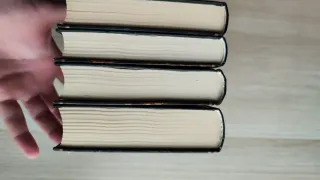 LOTE 4 LIBROS REINOS OLVIDADOS