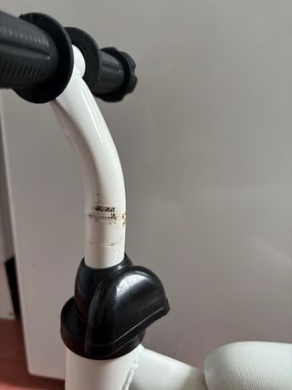 Bicicleta de equilibrio Fast Ride