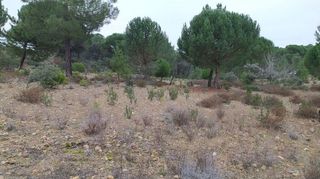 Terreno en venta en Toro