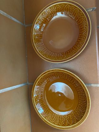 2 Platos Vintage Pontesa Hoja Marrón Dorado