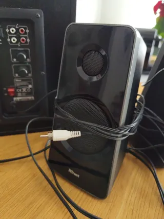 Altavoces y Subwoofer Trust Negros