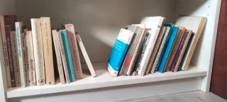 Más 100 libros de Pedagogía y Psicología infantil