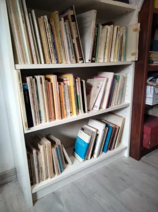 Más 100 libros de Pedagogía y Psicología infantil