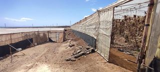 Terreno en venta en Chimiche en Granadilla de Abona