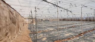 Terreno en venta en Chimiche en Granadilla de Abona