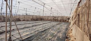 Terreno en venta en Chimiche en Granadilla de Abona