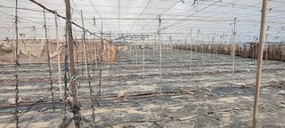 Terreno en venta en Chimiche en Granadilla de Abona