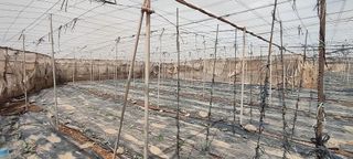 Terreno en venta en Chimiche en Granadilla de Abona