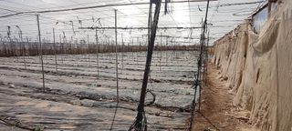 Terreno en venta en Chimiche en Granadilla de Abona