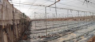 Terreno en venta en Chimiche en Granadilla de Abona