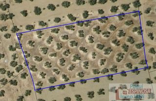 Terreno en venta en Torredonjimeno