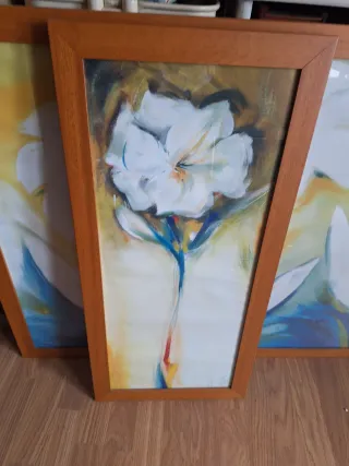 Set 3 Cuadros Flores Blancas.