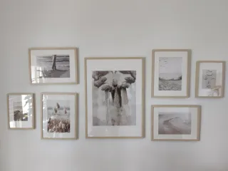 Marcos abedul Hovsta