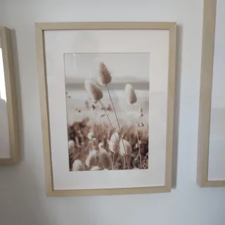 Marcos abedul Hovsta