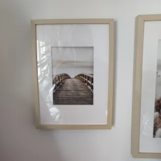 Marcos abedul Hovsta