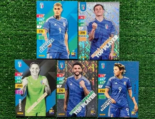 5 carte Adrenalyn XL Panini Italia C539