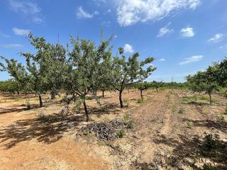 Casa rural en venta en Torreblanca