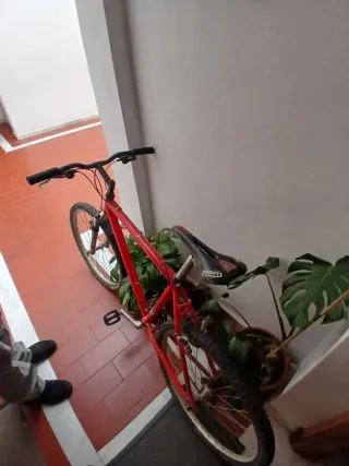 Bicicleta BH Roja