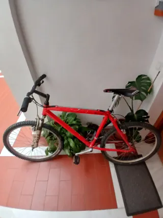 Bicicleta BH Roja