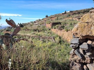 Terreno en venta en Arafo