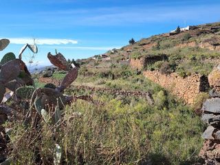 Terreno en venta en Arafo