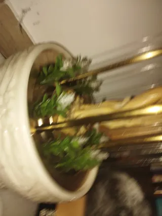 Lámpara Aceite Años 70