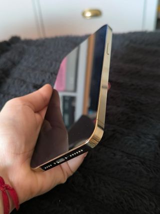 iPhone 13 Pro Max Oro