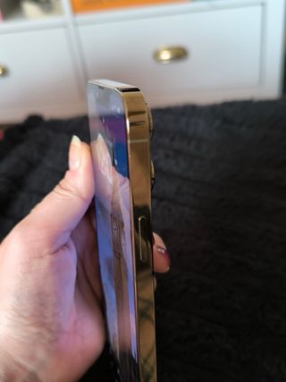 iPhone 13 Pro Max Oro