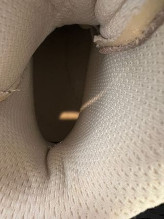 Pattini Risport Antares + Elyo