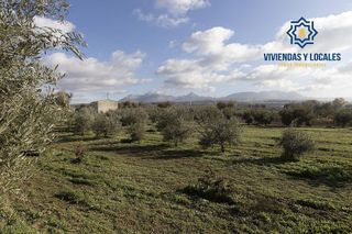 Nave industrial en venta en Peligros