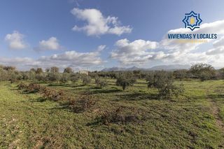 Nave industrial en venta en Peligros