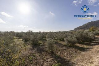 Nave industrial en venta en Peligros