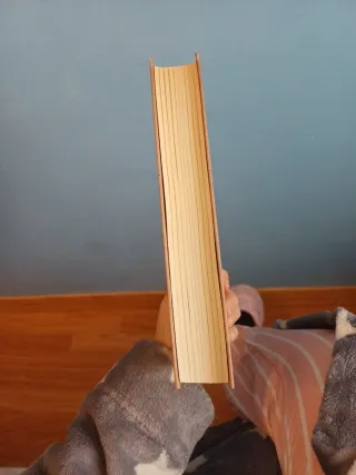 La Enciclopedia Guia no autorizada de las novel...