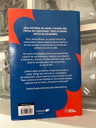 Libro en castellano Antes de diciembre