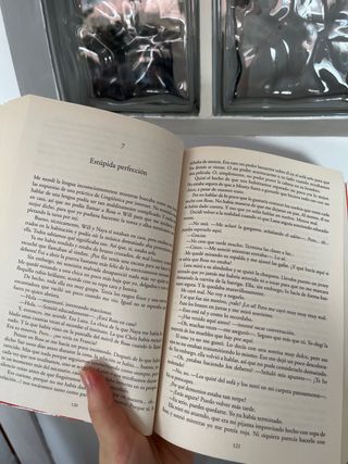 Libro en castellano Antes de diciembre