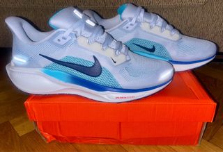 Nike Air Zoom Pegasus 41