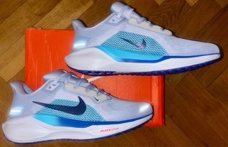 Nike Air Zoom Pegasus 41